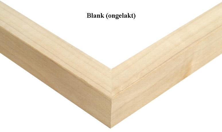 dfc houten wissellijst image 91 blank