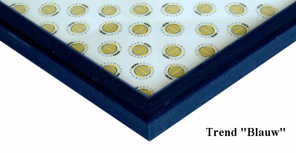 dfc houten wissellijst trend blauw